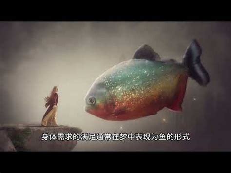 夢見魚缸很多魚號碼|夢見魚缸裡有很多魚是什麼意思